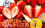 期間限定 富士市産 いちご 2種セット 紅ほっぺ きらぴ香 各2P (1P約280g入) 食べ比べ 朝どれ 新鮮 高糖度 甘み 香り 酸味 ジューシー 人気 果物 フルーツ 旬 ギフト 贈り物 【配送不可地域：沖縄・離島】 [sf123-006]
