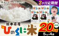 【2ヶ月定期便】 白米 ひのくに米 20kg 《申込月の翌月から出荷開始》 食品 米 こめ コメ 熊本県産 ふるさと納税 お米 おこめ 熊本