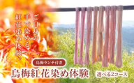 烏梅 紅花染め体験 生地染め コース ランチ付き 染め体験 烏梅 白雪ふきん ふきん 生地 染め ランチ 昼食 家庭料理 烏梅茶 お茶 お食事 食事 チケット 券 体験チケット 奈良県 奈良市 70-003