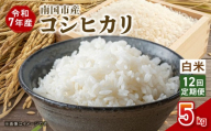 【12回定期便】令和7年度 南国市産 コシヒカリ 白米 5㎏ | 新米 数量限定 米 コメ お米 ご飯 おにぎり こめ 弁当 高知県 南国市