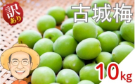 【訳あり】古城梅 約10kg (＋保証100g) サイズ不揃い カキエモン農園 【2026年5月下旬～6月中旬頃順次発送】 和歌山産 梅干し 梅酒 梅シロップ 果実 うめ 梅 ウメ カキエモン 農園 送料無料 なんこううめ なんこうばい なんこう梅 加工用 家庭用 紀州【BX-kkem026】