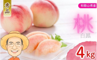 【秀品】桃 白鳳 約4kg 箱 (13～15個)  カキエモン農園 【2026年6月下旬～7月下旬頃順次発送】 クール便 送料無料 熨斗 ギフト 贈答 もも momo モモ 果実 完熟 カキエモン 農園 紀州 熱中症 夏バテ 果物【BX-kkem028】