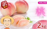 【訳あり】桃 白鳳 約2kg 箱 (8～9個) サイズ不揃い カキエモン農園 【2026年6月下旬～7月下旬頃順次発送】 クール便 送料無料 熨斗 ギフト 贈答 もも momo モモ 果実 完熟 カキエモン 農園 紀州 熱中症 夏バテ 果物【BX-kkem029】