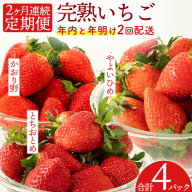 【2ヵ月連続】 採れたて完熟いちご 定期便（260g×2パック×2回／12月・1月お届け） かおり野 とちおとめ やよいひめ 国産 イチゴ 苺  [BC092sa]