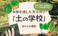 年間を通した野菜作り「土の学校」（1組5名まで） 〈 学び 食育 収穫 農業 野菜 子供 親子 農作物 ふるさと納税 柏 〉