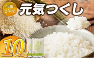 2025年新米 羽衣農園 元気つくし 白米 10kg（5kg×2） _ 2025年 新米 5kg × 2袋 計 10kg 福岡県産 精米 ブランド米 銘柄米 つやつや モチモチ 程よい粘り 冷めても美味しい ご飯 白ご飯 おにぎり 弁当 お米 食品 お取り寄せ 福岡県 久留米市 送料無料 _Gr075