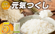 2025年新米 羽衣農園 元気つくし 白米 5kg _ 2025年 新米 福岡県産 精米 ブランド米 銘柄米 つやつや モチモチ 程よい粘り 冷めても美味しい ご飯 白ご飯 おにぎり 弁当 お米 食品 お取り寄せ 福岡県 久留米市 送料無料 _Gr074
