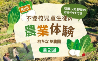 不登校児童生徒の農業体験（2回） 〈 学び 食育 収穫体験 農業体験 体験 収穫 野菜 子供 親子 農作物 ふるさと納税 柏 〉