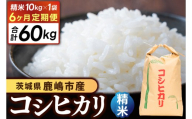先行予約 令和8年産★[6ヶ月定期便] 米 コシヒカリ 10kg × 6回 (精米) 鹿嶋市産[お米 白米 こしひかり 茨城県 鹿嶋市 200000円以内](KDS-25)