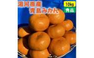 年末年始にも楽しめる　早出し　青島みかん　10kg　2025年12月21日頃～年内に発送
