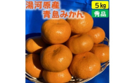 年末年始にも楽しめる　早出し　青島みかん　5kg　　2025年12月21日頃～年内に発送