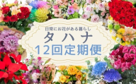 日常にお花がある暮らし タハナ 12回 定期便 フラワーアレンジメント 花 お花 花束 ブーケ 季節 ギフト お祝い 誕生日 記念日 ギフト プレゼント インテリア お洒落 マム カラーマム 愛知県 田原市 バラ ばら 薔薇 花束 花 愛知県 田原市 フラワー 観葉植物