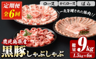 【6か月定期便】鹿児島県産 恵味の黒豚 しゃぶしゃぶセット 計1.5kg (ロース 250g×2 ・かたロース 250g×2 ・ばら 250g×2 の しゃぶしゃぶ肉 ) を ６回 お届け ! （総量 約 9.0kg ） 冷凍 小分け 国産 鹿児島県産 黒豚 食べ比べ セット 大容量！【E-156H】