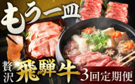 [定期便]贅沢 飛騨牛 もう一皿 定期便 3回お届け 計2.8kg | すき焼き しゃぶしゃぶ 焼肉 切り落とし | 赤身 肩ロース 上カルビ | 飛騨岐阜人 岐阜県 飛騨市 お肉 肉 切落し 炒め物 定期 毎月 定期便 teikibin niku 国産 牛肉 3か月 飛騨牛 お楽しみ定期便 おすすめ 毎月定期便 3回定期便 赤身肉 赤身牛肉 切り落とし肉