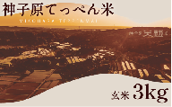 新米 こしひかり 玄米 3kg 神子原 てっぺん米 数量限定 令和7年産 こだわり もっちり 甘み 食味ランクS 最高評価 genmai gennmai げんまい ※ ご飯 ごはん R7 2025年産 おいしい 美味しい 神子原てっぺん米 神子原頂上米 石川県 石川 能登 羽咋 支援 応援 復興応援 復興支援 お米 米 おこめ こめ kome okome ふるさと納税米 ふるさと納税玄米