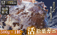 【期間限定配送！1～2月発送希望の方へ！】松葉ガニ 500g〈活〉松葉ガニ マツバガニ 冬の旬。贅沢の極みをご家庭で松葉カニ マツバガニ カニ 蟹 新鮮 旬 プレゼント 贈与 お祝い事 贈り物 年末年始 祝辞 隠岐 西ノ島町