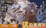 【1～2月配送希望の方！限定価格！】松葉ガニ500g×2〈活〉松葉ガニ マツバガニ　冬の旬。贅沢の極みをご家庭で。 松葉カニ マツバカニ カニ 蟹 新鮮 旬 プレゼント 贈与 お祝い事 贈り物 年末年始 祝辞 隠岐 西ノ島町