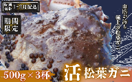 【期間限定配送！1～2月発送希望の方へ！】松葉ガニ 500g×3杯〈活〉松葉ガニ マツバガニ 冬の旬。贅沢の極みをご家庭で 松葉カニ マツバガニ カニ 蟹 新鮮 旬 プレゼント 贈与 お祝い事 贈り物 年末年始 祝辞 隠岐 西ノ島町