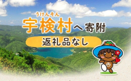【返礼品なし】鹿児島県 宇検村へ 10,000円 寄附＜寄附のみの応援受付＞ 10000円