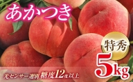 福島の桃 あかつき 特秀 約5kg 福島県伊達市産 桃 先行予約 フルーツ 果物 もも モモ momo F20C-125