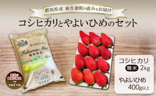 コシヒカリ 2kg と やよいひめ 1トレー（400g以上）セット お米 白米 ライス ご飯 ブランド米 銘柄米 お弁当 おにぎり いちご ストロベリー 果物 くだもの フルーツ 群馬県 東吾妻町 2425369 - 群馬県東吾妻町