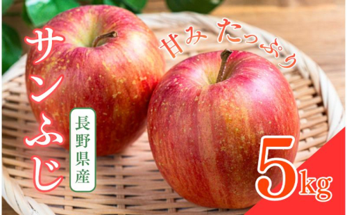 サンふじ　5kg　りんご リンゴ 林檎 果物 フルーツ 長野 2425374 - 長野県上田市