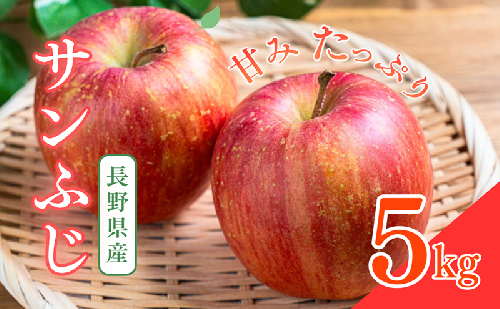 サンふじ　5kg　りんご リンゴ 林檎 果物 フルーツ 長野 2425374 - 長野県上田市