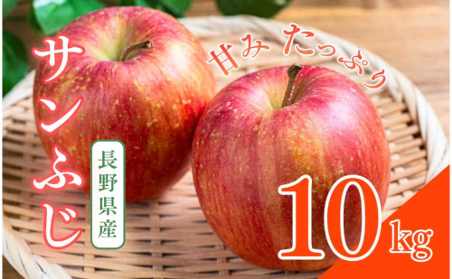 サンふじ　10kg　りんご リンゴ 林檎 果物 フルーツ 長野 2425375 - 長野県上田市