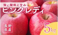 ピンクレディー(R)　5kg　りんご リンゴ 林檎 果物 フルーツ 長野