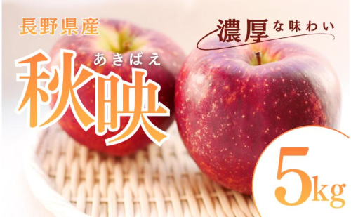 秋映　5kg　りんご リンゴ 林檎 果物 フルーツ 長野 2425377 - 長野県上田市
