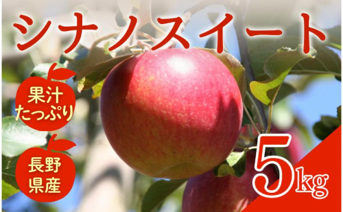 シナノスイート　5kg　りんご リンゴ 林檎 果物 フルーツ 長野 2425378 - 長野県上田市