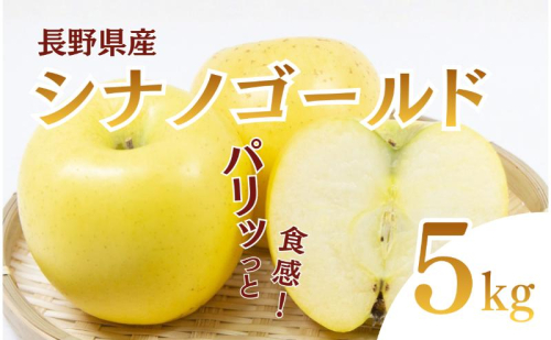 シナノゴールド　5kg　りんご リンゴ 林檎 果物 フルーツ 長野 2425379 - 長野県上田市