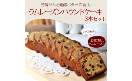 【焼き菓子のうさぎ堂 謹製】じっくり熟成したラムレーズンのパウンドケーキ 3本セット 焼菓子 スイーツ お取り寄せ グルメ 長野市 2425402 - 長野県長野市