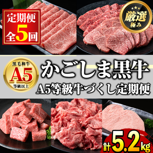 【2401710b】＜定期便・連続全5回＞鹿児島県産 黒毛和牛 A5等級 牛づくし定期便(5ヶ月連続・合計約5.2kg) 国産 牛肉 ロース モモ カルビ 切り落とし サーロインステーキ サイコロステーキ 定期便 鹿児島 焼肉 しゃぶしゃぶ すき焼き 【前田畜産たかしや】 2425644 - 鹿児島県東串良町