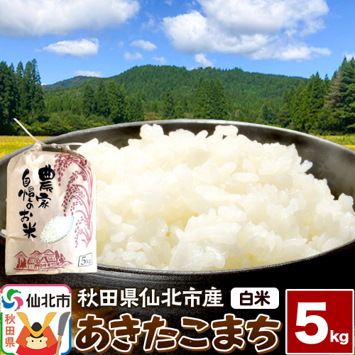 【白米】令和7年産 あきたこまち 5kg 米 お米 こめ 精米 秋田県 仙北市産 2425648 - 秋田県仙北市