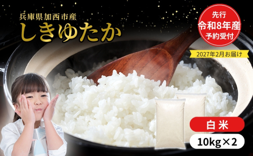 【令和8年産 先行受付】しきゆたか 白米 20kg (10kg×2)《2027年2月発送》 2425667 - 兵庫県加西市