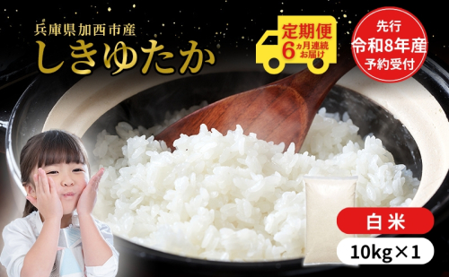 定期便【令和8年 先行受付】しきゆたか 白米 10kg 6か月連続お届け 2425669 - 兵庫県加西市