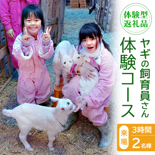 【体験型返礼品】ヤギの飼育員さん体験コース（来場/3時間）2名 2425680 - 愛知県美浜町