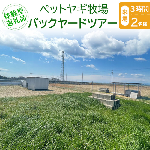 【体験型返礼品】ペットヤギ牧場バックヤードツアー（来場/3時間/2名） 2425681 - 愛知県美浜町