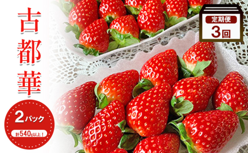 【3回定期】いちご 古都華 約270g ×2パック フルーツ 果物 旬 産地直送 旬のフルーツ 旬の果物 お取り寄せ おやつ デザート 希少 ことか 苺 冷蔵 冷蔵配送 奈良 奈良県 BN001 2425824 - 奈良県大和郡山市