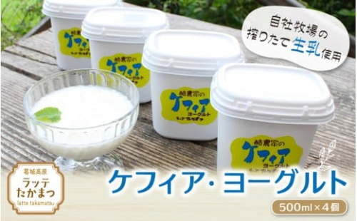 ケフィア・ヨーグルト500ml×4個 ／ 葛城 高原 牧場 ケフィア ヨーグルト【latt0011】 2425946 - 奈良県葛城市