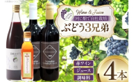ぶどう 赤ワイン 樽熟成 赤ワイン ステンレスタンク熟成 ブドウジュース ロワイヤルヴェルジュ 750ml × 2本 720ml × 1本 190ml × 1本 ( 4本 セット ) [Creation farm 山梨県 韮崎市 20745311] 赤 ワイン 果物 ジュース アルコール 飲み比べセット