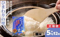 【12ヶ月定期便】【令和7年産】米 5kg 魚沼産 コシヒカリ ひまわりの里 | こしひかり お米 おこめ こめ コメ ご飯 ごはん 白米 精米 ブランド米 おすすめ 人気 ギフト プレゼント 新潟県 津南町