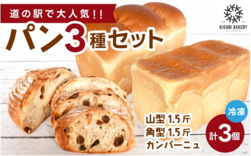 行列ができるパン屋さん！元ホテルシェフが作る３種のパン 食パン：生食パン：フルーツのカンパーニュをお届け！ 【注文確定後約20日で発送】/ 和歌山県 かつらぎ町 パン ぱん 食パン ふんわり 職人【BK-kgr045】 2426469 - 和歌山県かつらぎ町