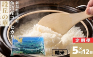 【12ヶ月定期便】【令和7年産】米 5kg 魚沼産 コシヒカリ段丘の華 | こしひかり お米 おこめ こめ コメ ご飯 ごはん 白米 精米 ブランド米 おすすめ 人気 ギフト プレゼント 新潟県 津南町
