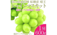 プレミアムシャインマスカット晴王 船穂Ver  赤秀ぶどう1房 約600g 【先行予約：2026年9月上旬～10月下旬発送予定】 船穂産 岡山県最高産地 赤秀品以上 岡山県産 皮ごと食べる みずみずしい 糖度保証 クール発送 満天フルーツ 倉敷市