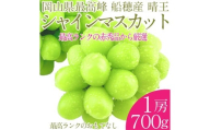 プレミアムシャインマスカット晴王 船穂Ver  赤秀ぶどう1房 約700g 【先行予約：2026年9月上旬～10月下旬発送予定】船穂産 岡山県最高産地 赤秀品以上 岡山県産 皮ごと食べる みずみずしい 糖度保証 クール発送 満天フルーツ 倉敷市