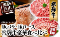 飛騨牛 ＆ 飛騨豚 焼肉 セット 合計 1kg | 肉 国産 牛 豚 29-950 ファミリーストアさとう CY030VC13