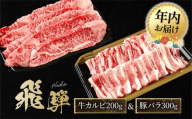 【12月配送】飛騨牛 カルビ200g & 飛騨豚 バラ300g | 年内発送 食べ比べ セット 焼肉 国産牛 豚肉 飛騨高山 人気 おいしい ファミリーストアさとう CY043VC12