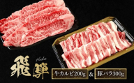 飛騨牛 カルビ200g & 飛騨豚 バラ300g | 食べ比べ セット 焼肉 国産牛 豚肉 飛騨高山 人気 おいしい ファミリーストアさとう CY043VC13